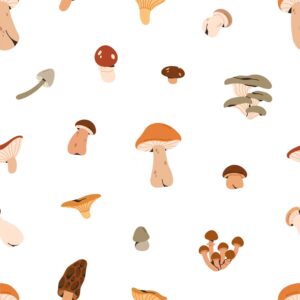 leśne_grzyby_w_minimalistycznym_stylu