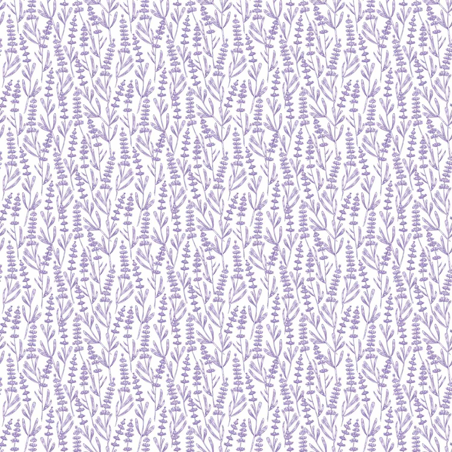 lawenda_w_stylu_linearnym